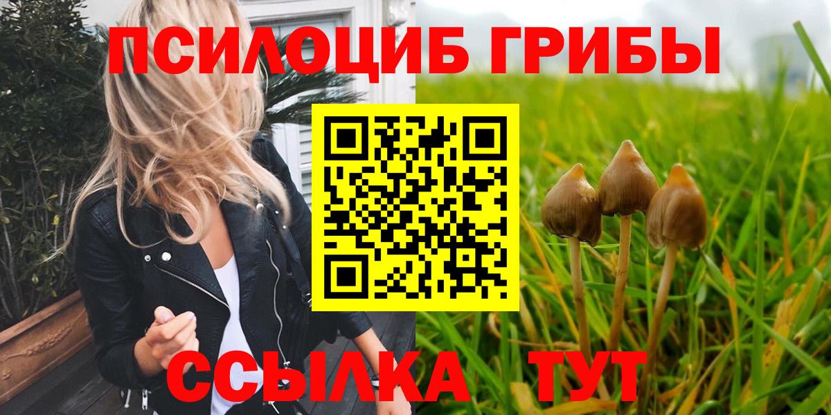 Псилоцибиновые грибы мухоморы  Псилоцибиновые грибы GOLDEN TEACHER  Вход с VPN  Амурск 